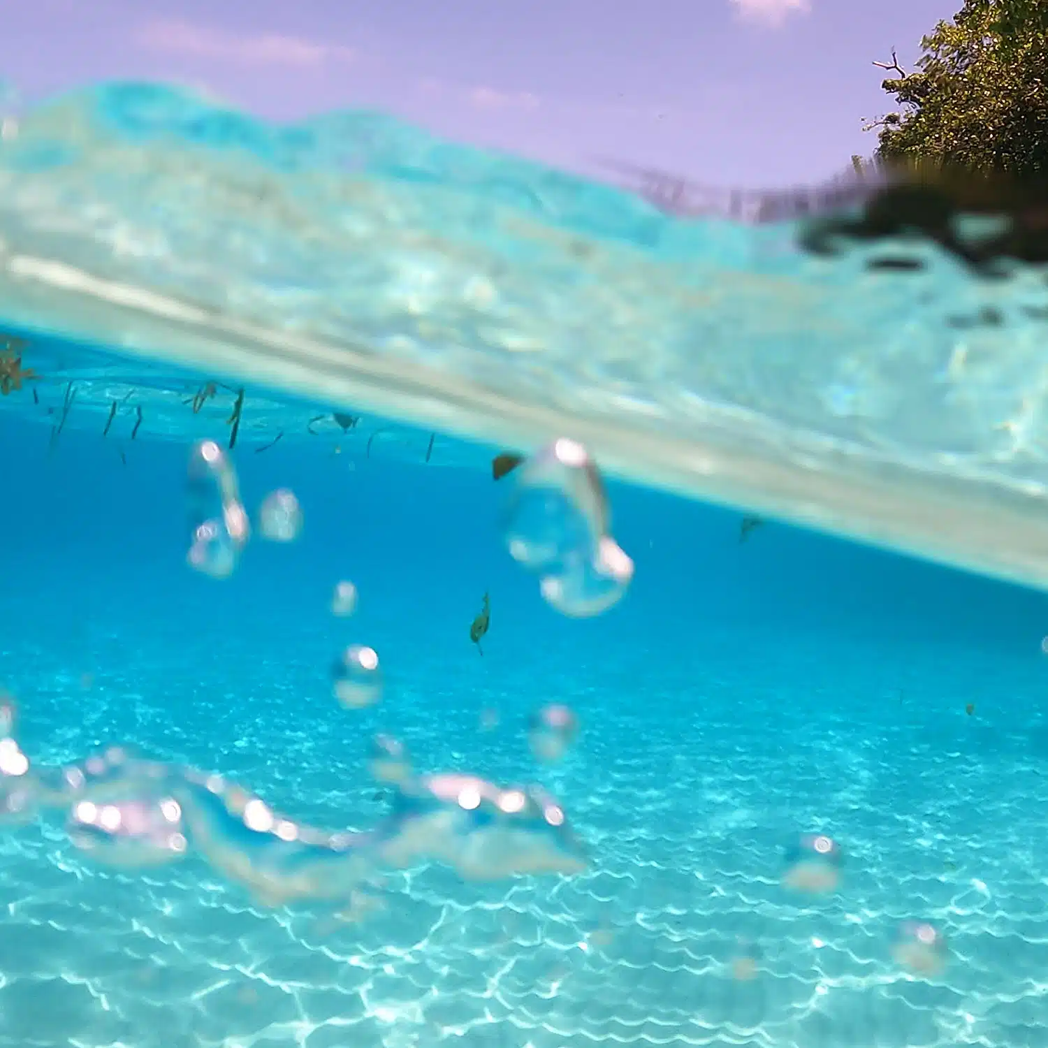 Into the Clear: Snorkeling Adventures at Bitaog Beach, Philippines